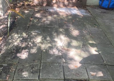 Trusted Paving Service